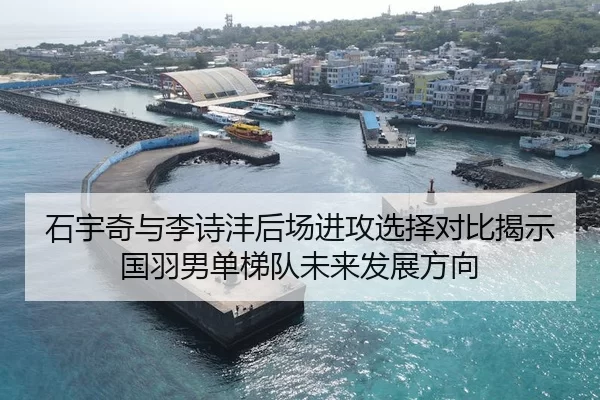 石宇奇与李诗沣后场进攻选择对比揭示国羽男单梯队未来发展方向