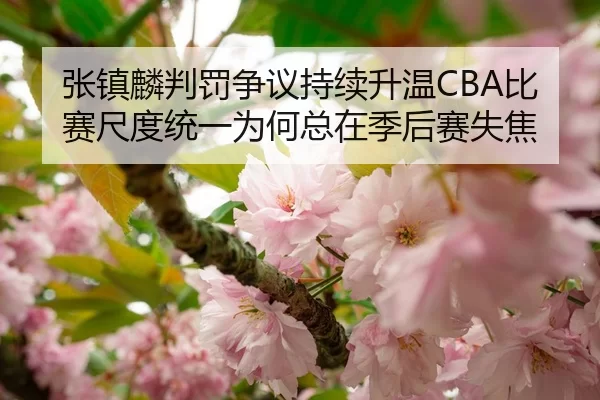 张镇麟判罚争议持续升温CBA比赛尺度统一为何总在季后赛失焦