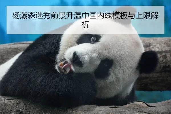 yang-han-sen-xuan-xiu-qian-jing-sheng-wen-zhong-guo-nei-xian-mu-ban-yu-shang-xian-jie-xi-2-964.jpg