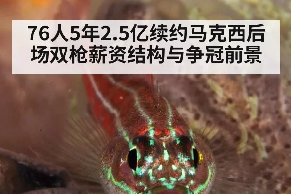 76人5年2.5亿续约马克西后场双枪薪资结构与争冠前景