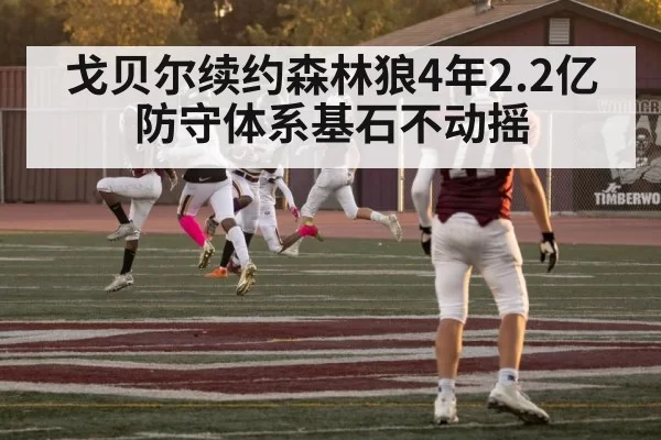 戈贝尔续约森林狼4年2.2亿 防守体系基石不动摇 - huatihui